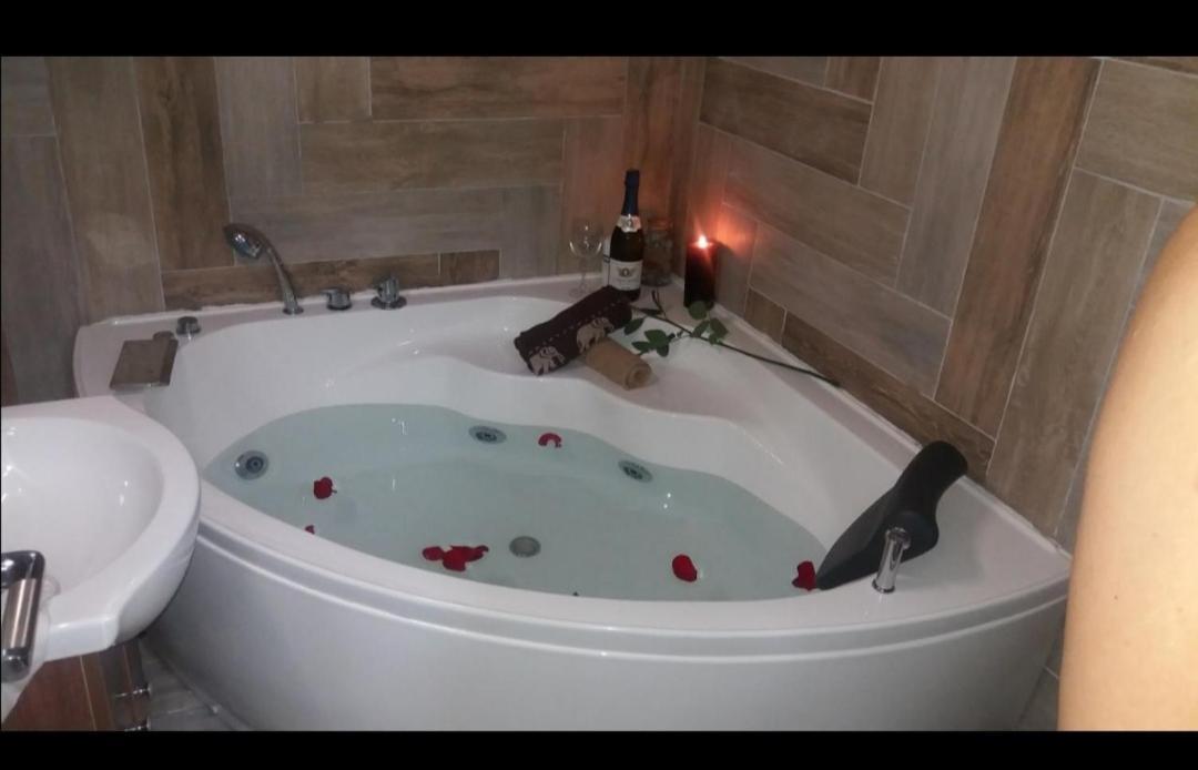 Marina Jacuzzi Apartment Free Parking Novi Sad Exteriér fotografie