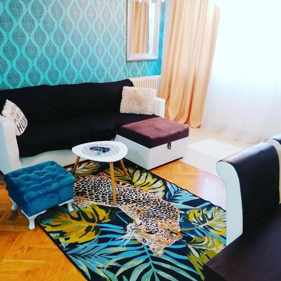 Marina Jacuzzi Apartment Free Parking Novi Sad Exteriér fotografie