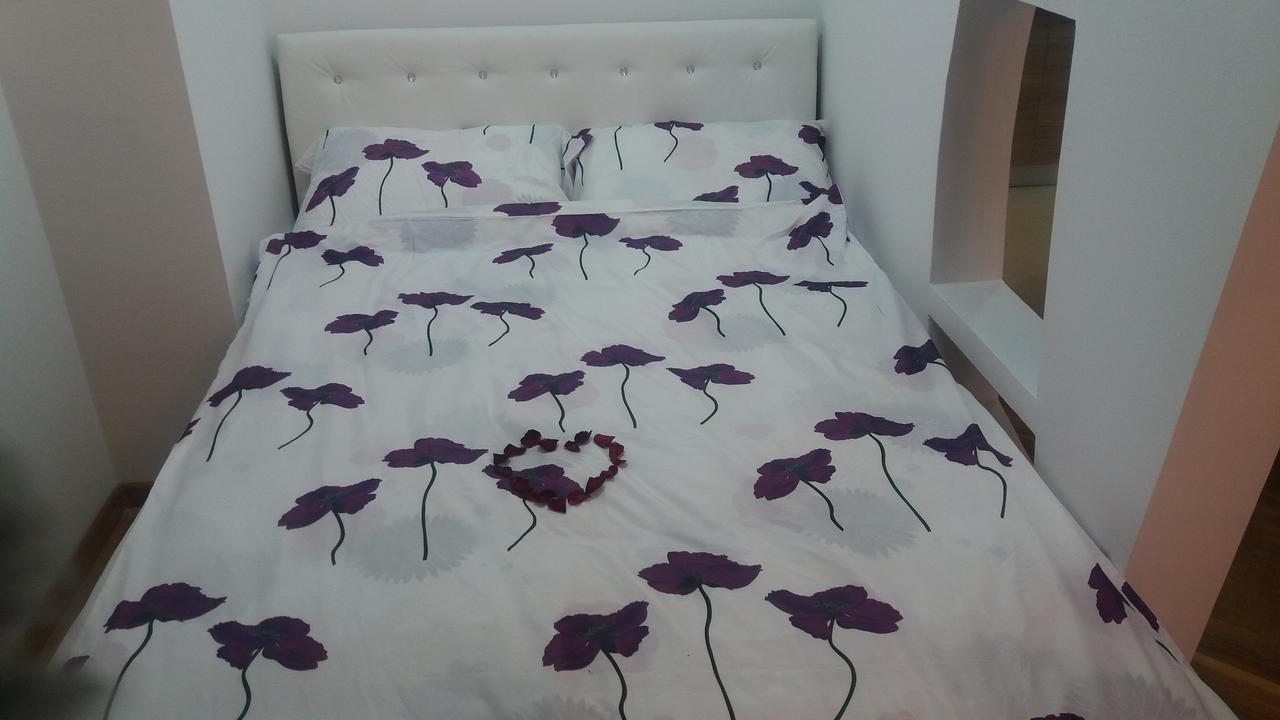 Marina Jacuzzi Apartment Free Parking Novi Sad Exteriér fotografie