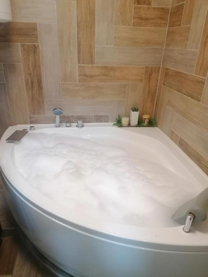 Marina Jacuzzi Apartment Free Parking Novi Sad Exteriér fotografie